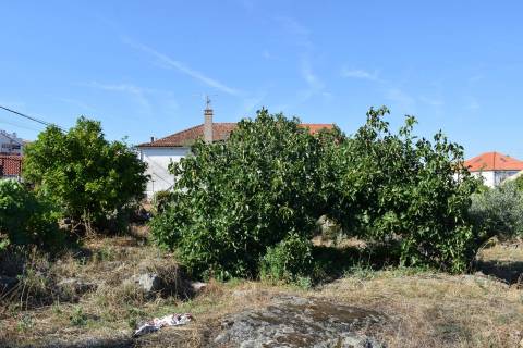 5 Moradias p/ Renovar e Terreno - Centro de Castelo Branco