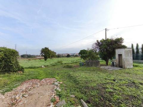 Moradia Isolada c/ Terreno - São Martinho do Bispo - Coimbra