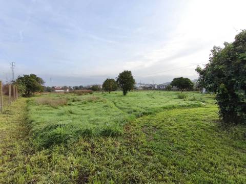 Moradia Isolada c/ Terreno - São Martinho do Bispo - Coimbra