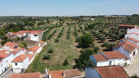 Quinta c/ Construção - Ladoeiro