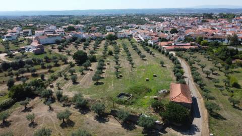 Quinta c/ Construção - Ladoeiro