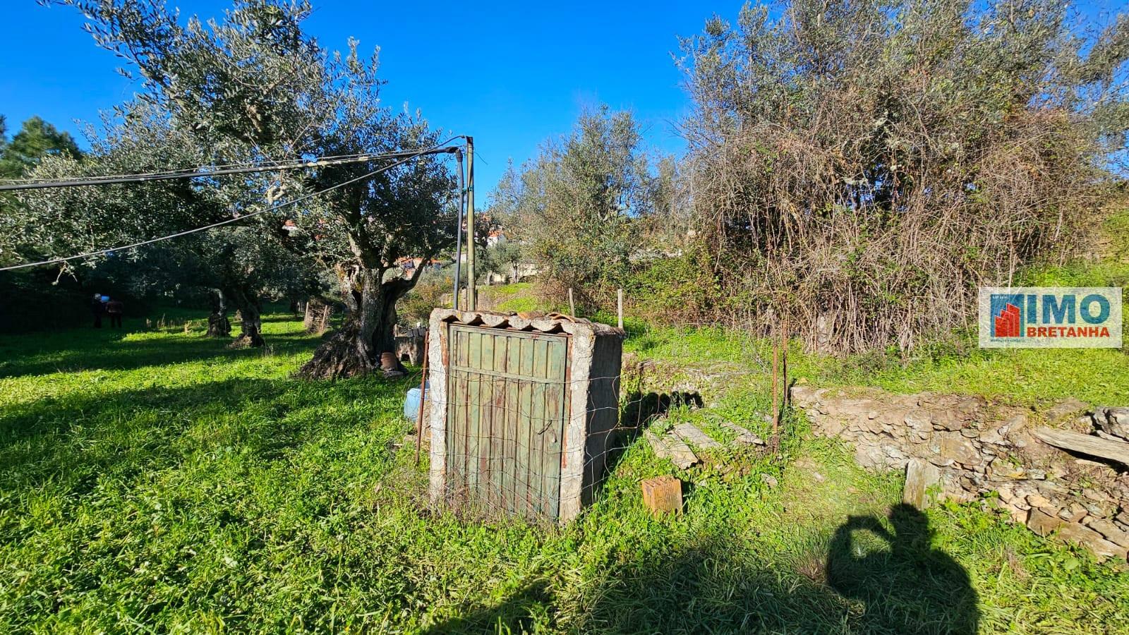 Quintinha em Cebolais de Cima, Castelo Branco.
