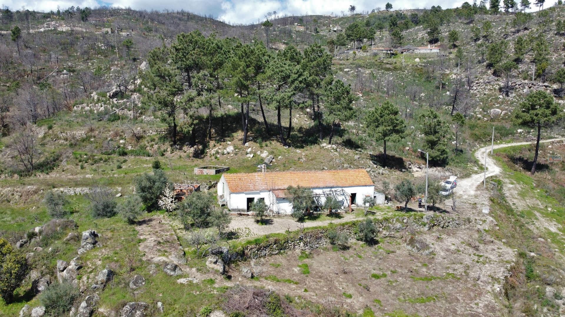 Quinta c/ Moradia p/ Renovar - Orjais