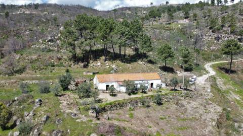 Quinta c/ Moradia p/ Renovar - Orjais
