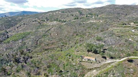 Quinta c/ Moradia p/ Renovar - Orjais