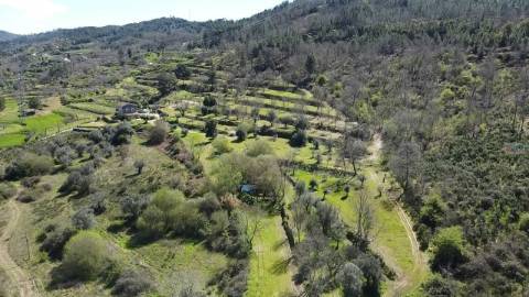 Quinta com Moradia V3 e T1 - Monte Serrano - Covilhã