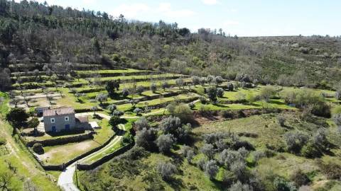 Quinta com Moradia V3 e T1 - Monte Serrano - Covilhã