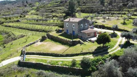 Quinta com Moradia V3 e T1 - Monte Serrano - Covilhã