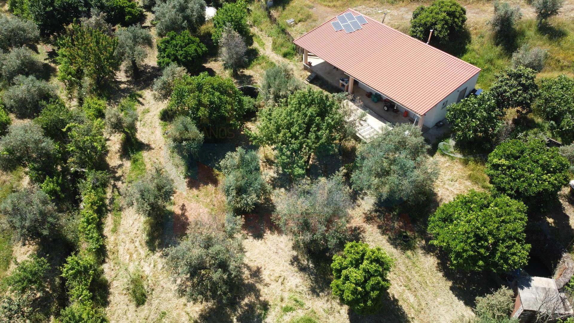 Quinta em  Aldeia da Mata -  Castelo Branco
