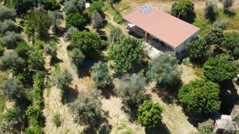 Quinta em  Aldeia da Mata -  Castelo Branco