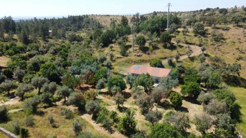 Quinta em  Aldeia da Mata -  Castelo Branco