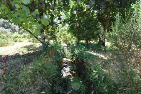 Quinta em  Aldeia da Mata -  Castelo Branco