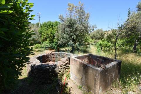 Quinta em  Aldeia da Mata -  Castelo Branco