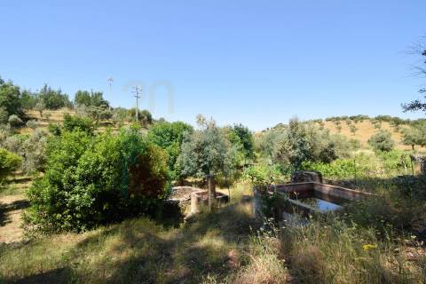 Quinta em  Aldeia da Mata -  Castelo Branco