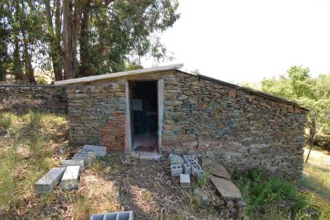 Quinta em  Aldeia da Mata -  Castelo Branco