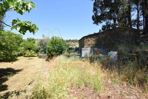 Quinta em  Aldeia da Mata -  Castelo Branco