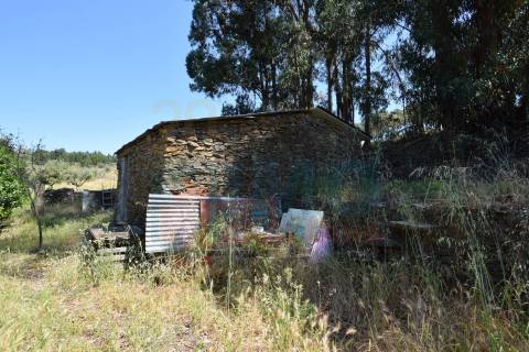 Quinta em  Aldeia da Mata -  Castelo Branco