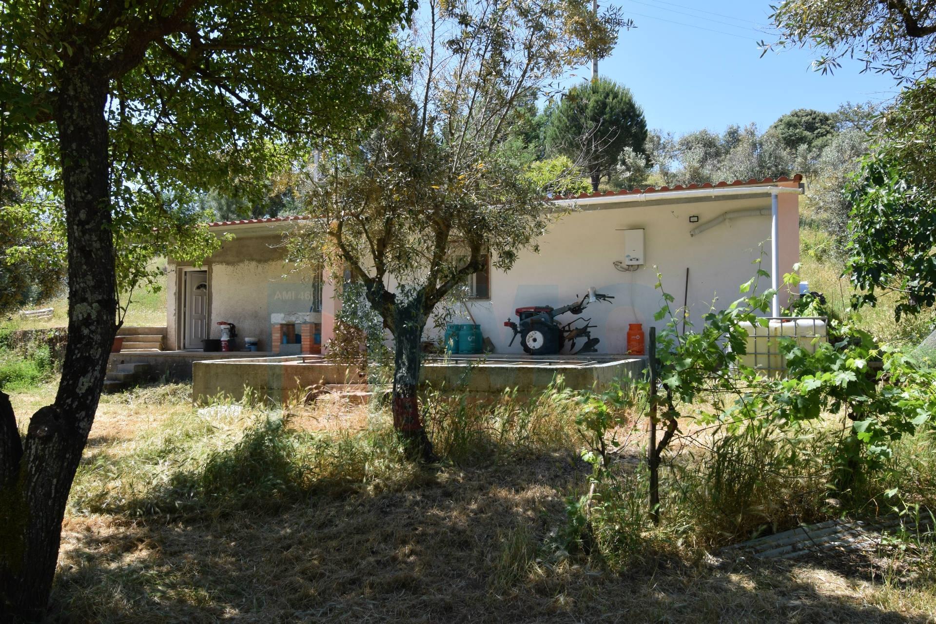 Quinta em  Aldeia da Mata -  Castelo Branco