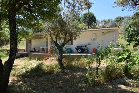 Quinta em  Aldeia da Mata -  Castelo Branco