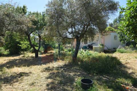 Quinta em  Aldeia da Mata -  Castelo Branco