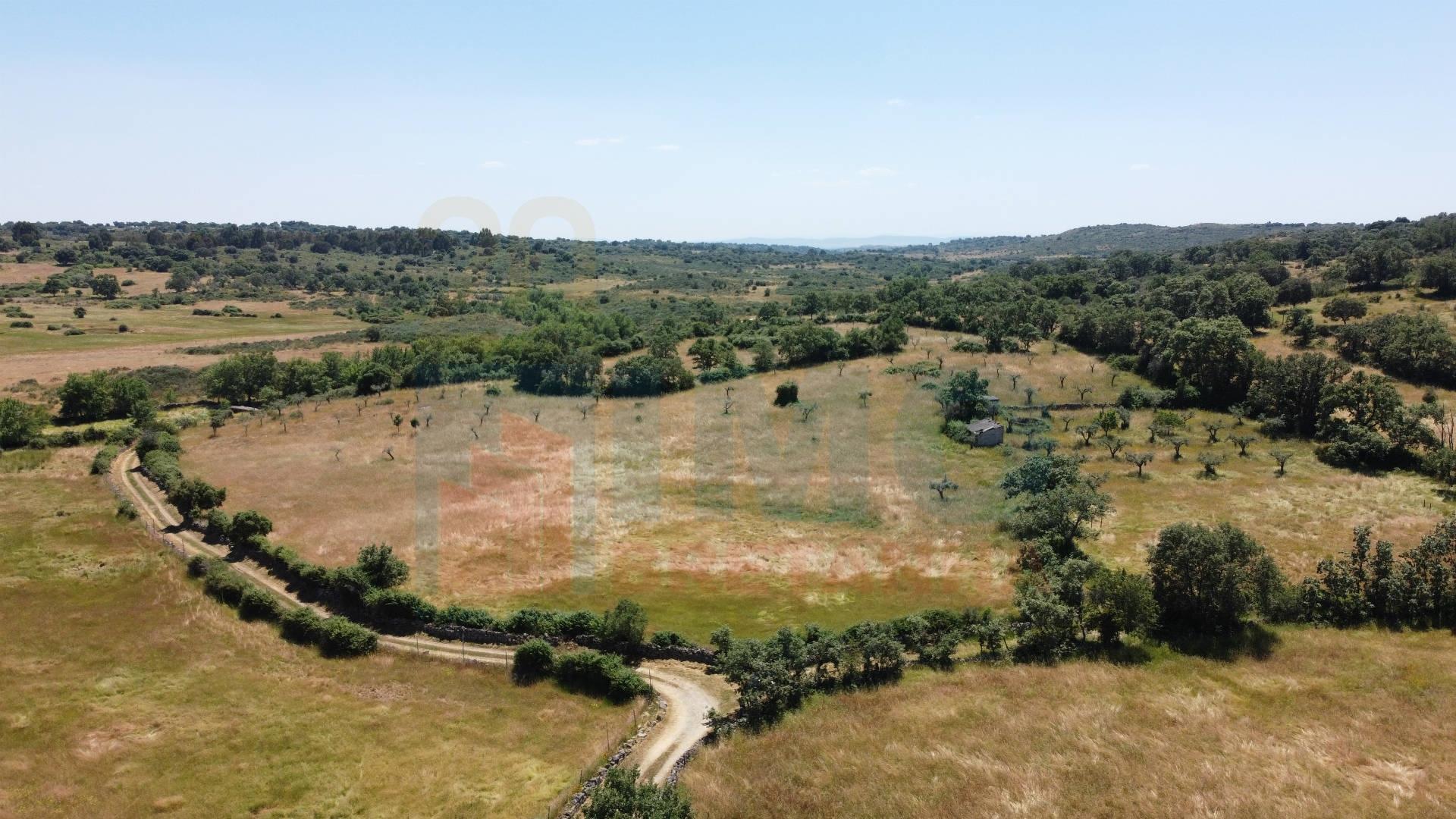 Quinta em Oledo - 10 min de Idanha e 30 de Castelo Branco