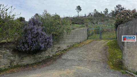 Quinta - São Vicente da Beira c/ vistas fantásticas e 7280m2