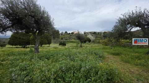 Quinta - São Vicente da Beira c/ vistas fantásticas e 7280m2