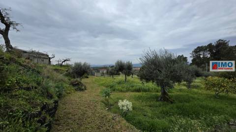 Quinta - São Vicente da Beira c/ vistas fantásticas e 7280m2