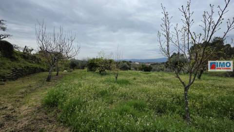 Quinta - São Vicente da Beira c/ vistas fantásticas e 7280m2