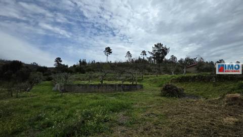 Quinta - São Vicente da Beira c/ vistas fantásticas e 7280m2