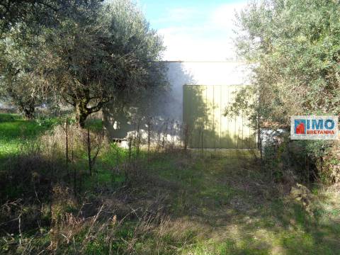 Quinta - Zona de Alcaria - Fundão