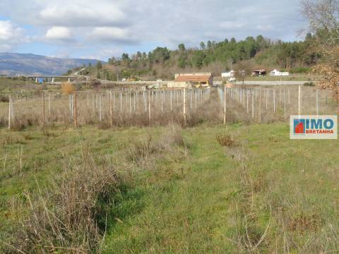 Quinta - Zona de Alcaria - Fundão