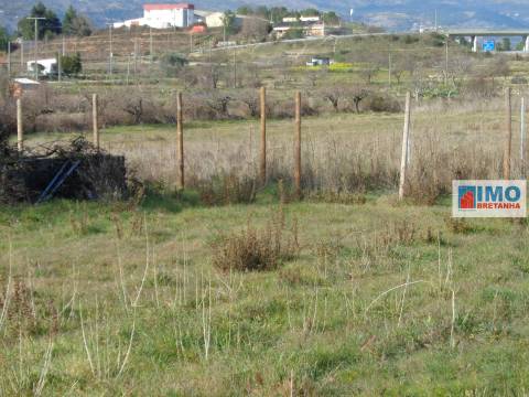 Quinta - Zona de Alcaria - Fundão