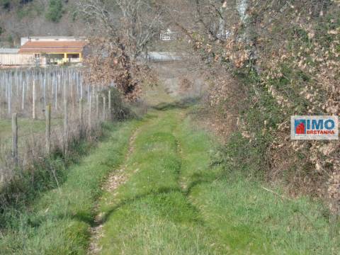 Quinta - Zona de Alcaria - Fundão
