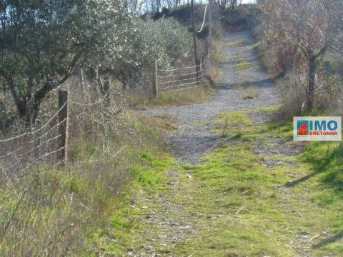 Quinta - Zona de Alcaria - Fundão