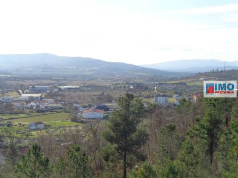 Quinta - Zona de Alcaria - Fundão