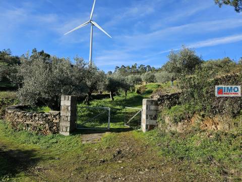 Quinta c/ 3.500m2 -  Cebolais de Cima-Retaxo