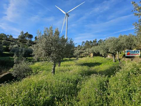 Quinta c/ 3.500m2 -  Cebolais de Cima-Retaxo