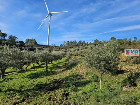 Quinta c/ 3.500m2 -  Cebolais de Cima-Retaxo