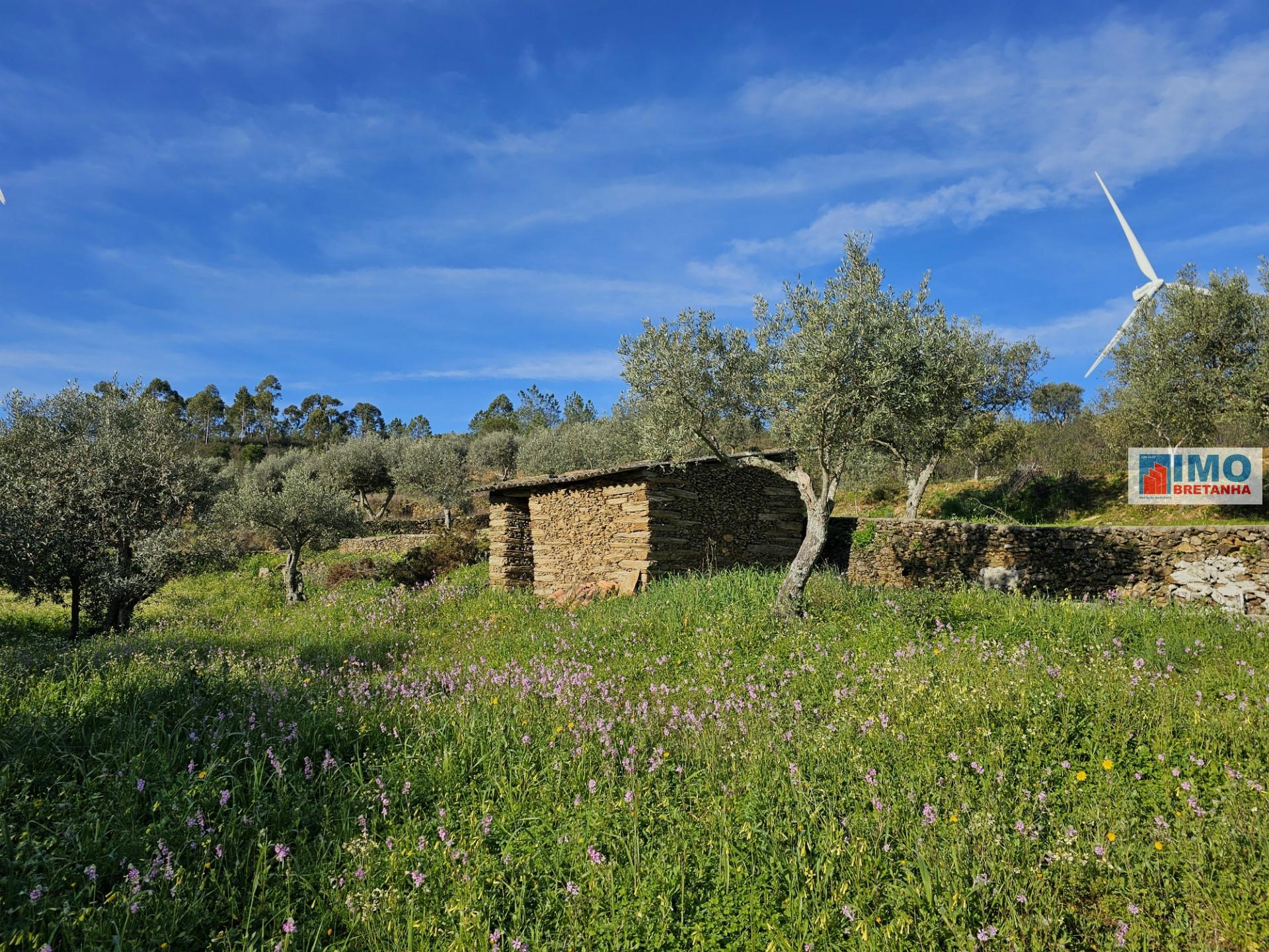 Quinta c/ 3.500m2 -  Cebolais de Cima-Retaxo