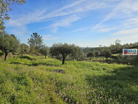 Quinta c/ 3.500m2 -  Cebolais de Cima-Retaxo