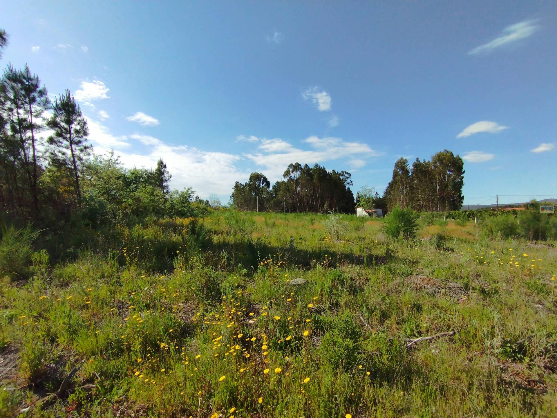 Terreno c/ Regadio - Salgueiral - Enxames - Fundão