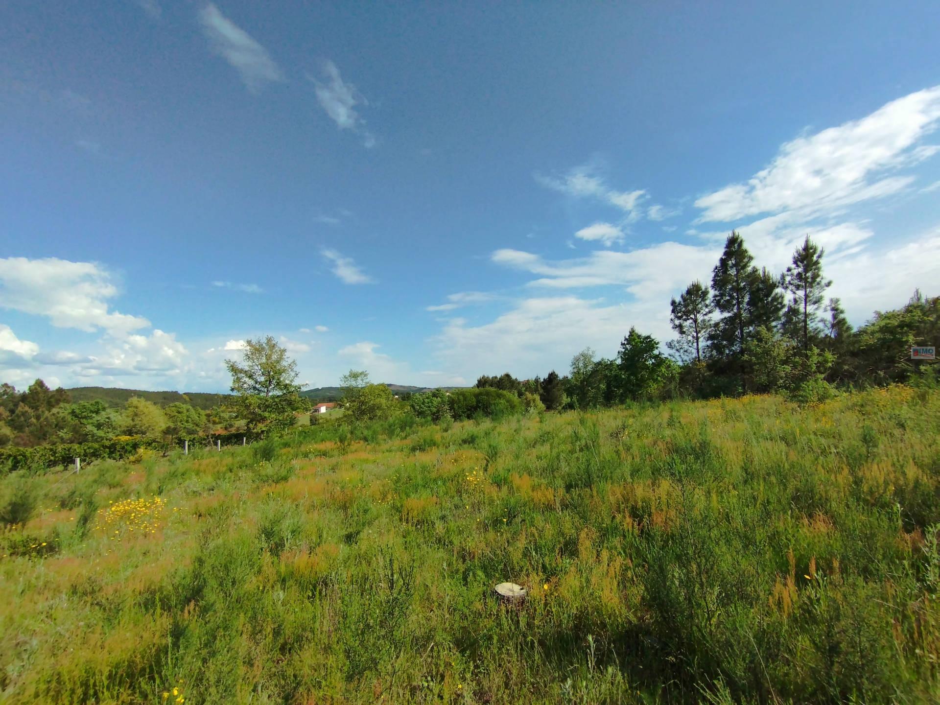 Terreno c/ Regadio - Salgueiral - Enxames - Fundão