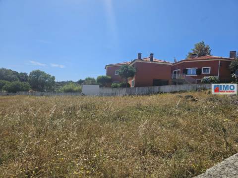 Lote de Terreno  Venda em Benquerenças,Castelo Branco