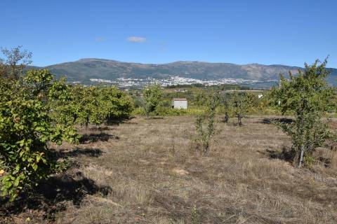 Terreno - Ferro a 10 min da Covilhã