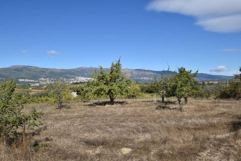 Terreno - Ferro a 10 min da Covilhã