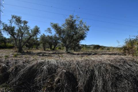 Terreno - Ferro a 10 min da Covilhã