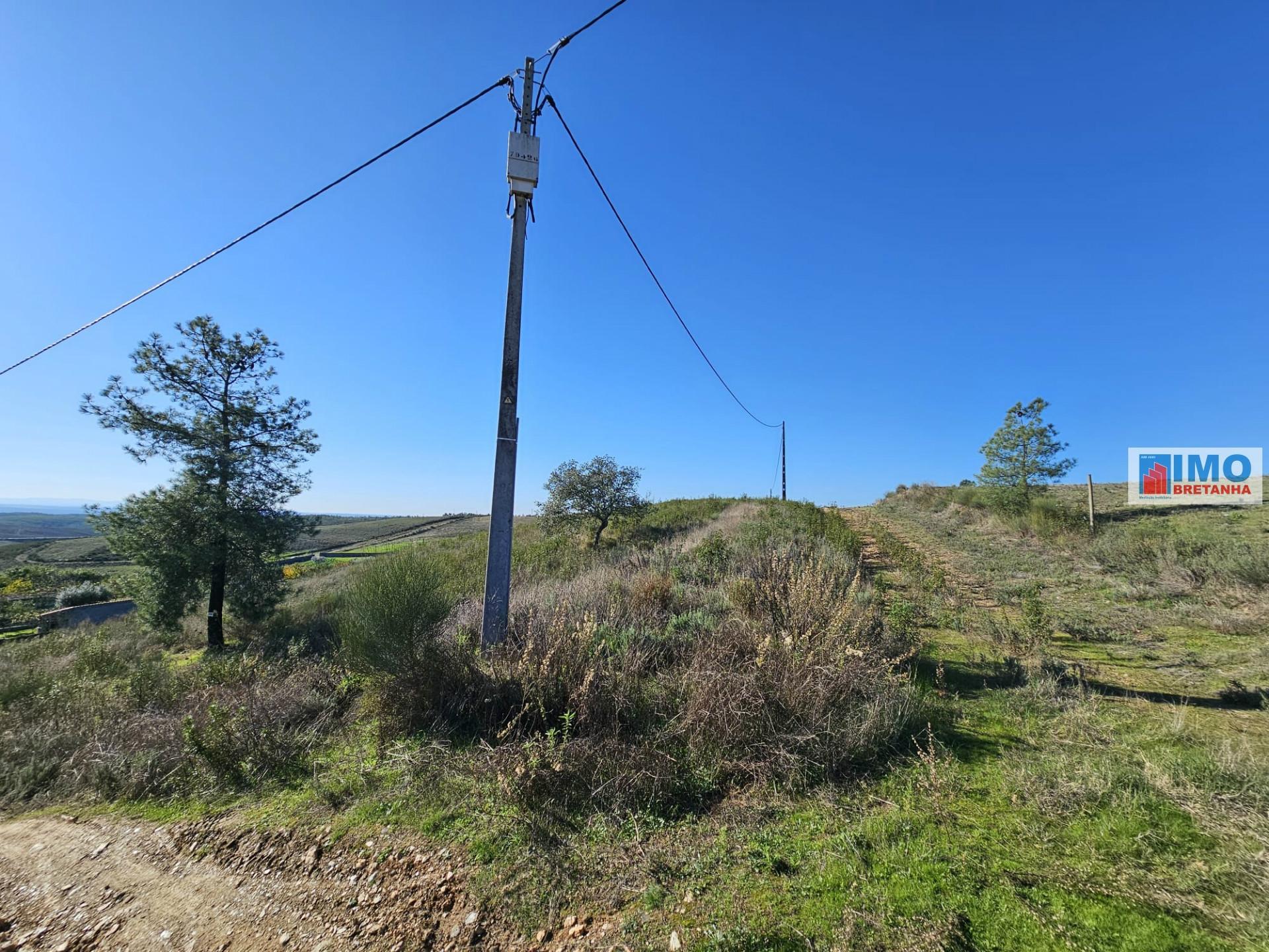 Terreno Urbano com 2882 m2 no Bairro do Valongo