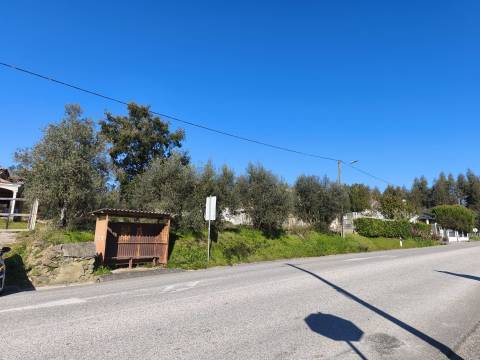 Lote de Terreno - Vila Nova de Poiares