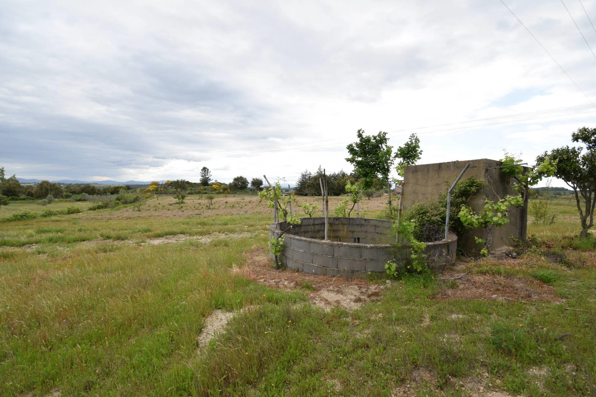 Quinta - Tapada da Misericórdia  - Castelo Branco